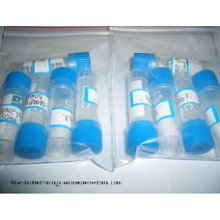 Farmacêutica do Peptide intermediário Ghrp-6 5mg/Vial CAS 87616-84-0